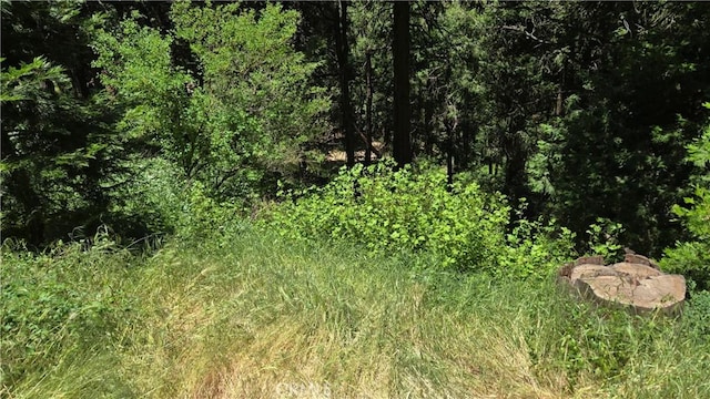 0 Cedar Pines Dr, Cedarpines Park, CA 92322