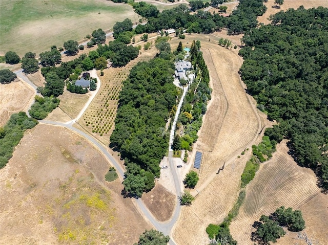 5405 Vineyard Dr, Paso Robles, CA 93446 - photo 7
