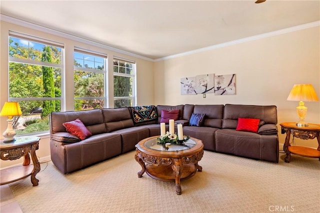 5405 Vineyard Dr, Paso Robles, CA 93446 - photo 72