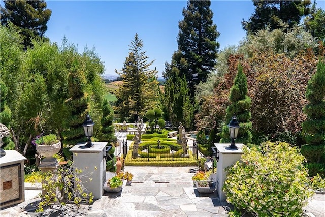 5405 Vineyard Dr, Paso Robles, CA 93446 - photo 51