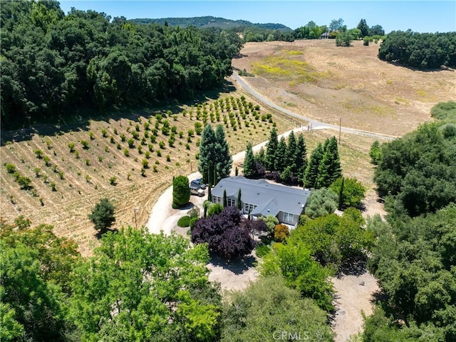 5405 Vineyard Dr, Paso Robles, CA 93446 - photo 61