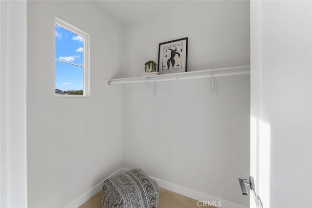 14 Pavona, Newport Coast, CA 92657 - walk in closet featuring carpet