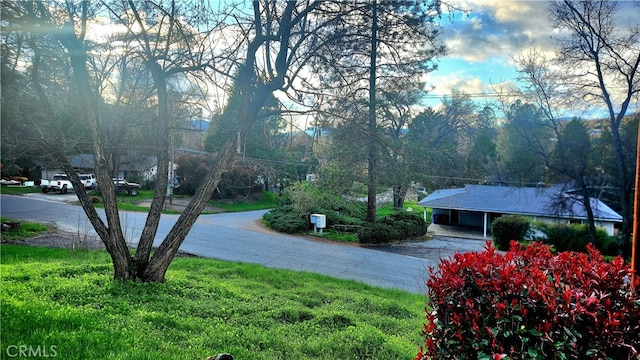 40885 Elliott Dr, Oakhurst, CA 93644 - photo 25