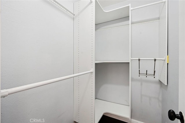 1846 Rosebrook Ln, Rosemead, CA 91770 - view of spacious closet