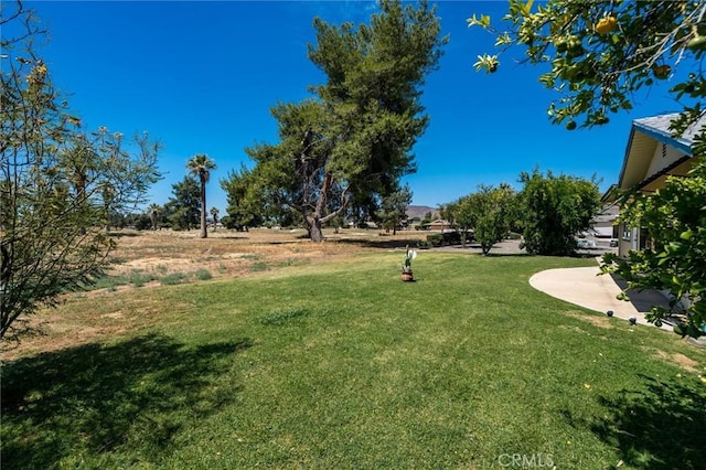 26409 Brandywine Ct, Menifee, CA 92586 - view of green lawn