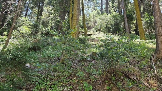 0 Waters Dr, Cedarpines Park, CA 92322