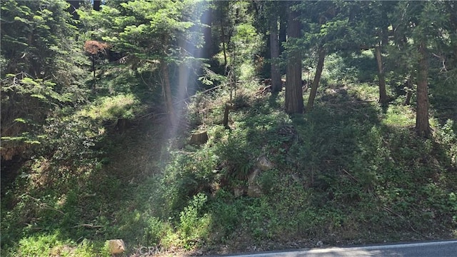 0 Waters Dr, Cedarpines Park, CA 92322