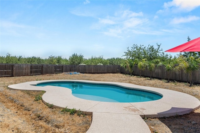 1682 Almondwood Dr, Orland, CA 95963 - photo 32