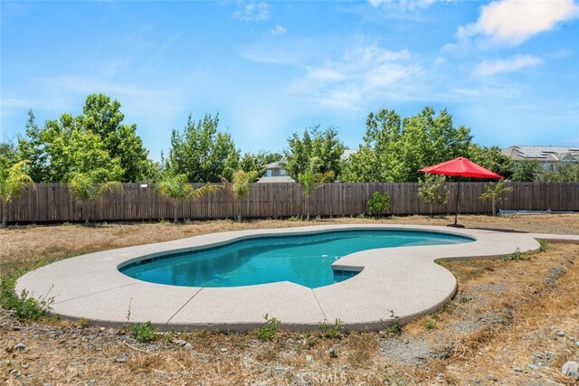 1682 Almondwood Dr, Orland, CA 95963 - photo 29