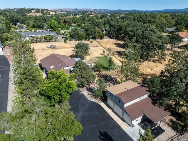 553 Well Rd, Templeton, CA 93465 - drone / aerial view