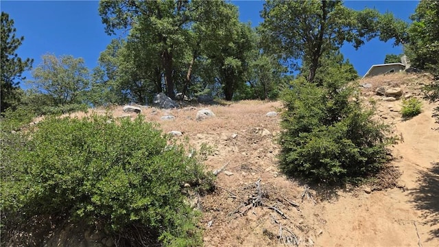 0 Edelweiss Dr, Crestline, CA 92325 - photo 3