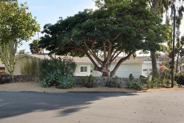835 Cathy Ln, Cardiff By The Sea, CA 92007 - view of property hidden behind natural elements