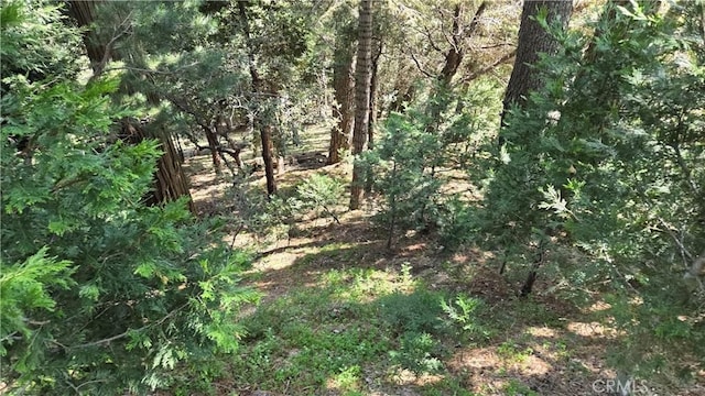 0 Chateau Dr, Crestline, CA 92325