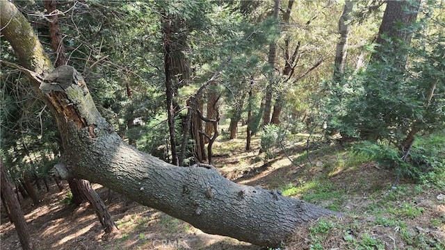 0 Chateau Dr, Crestline, CA 92325