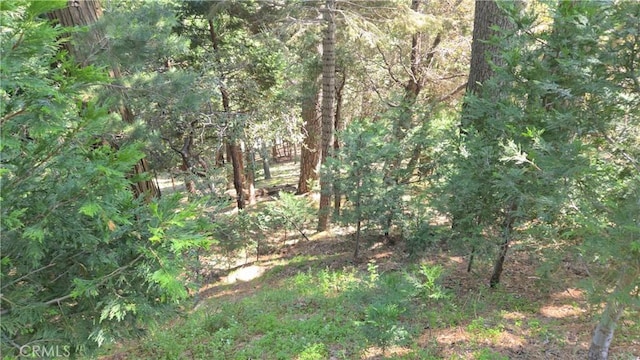 0 Chateau Dr, Crestline, CA 92325