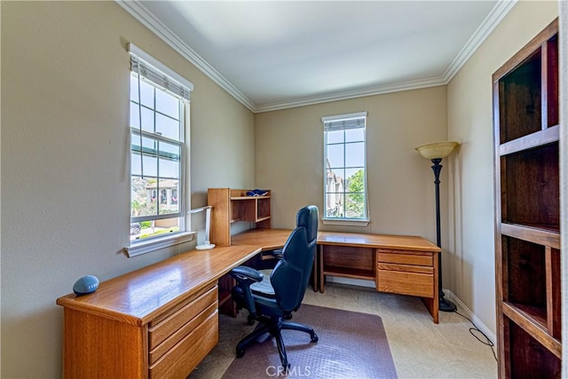 18956 Northern Dancer Ln, Yorba Linda, CA 92886 - office area featuring light carpet and ornamental molding