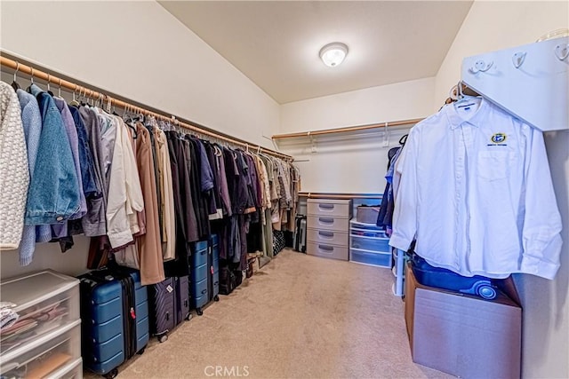 18956 Northern Dancer Ln, Yorba Linda, CA 92886 - walk in closet with carpet