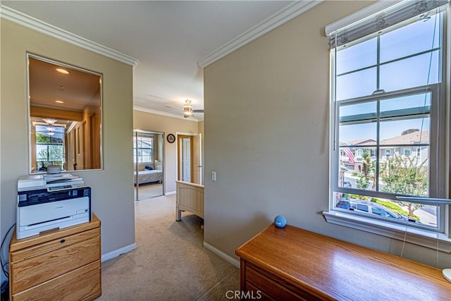 18956 Northern Dancer Ln, Yorba Linda, CA 92886 - hallway featuring carpet floors and ornamental molding
