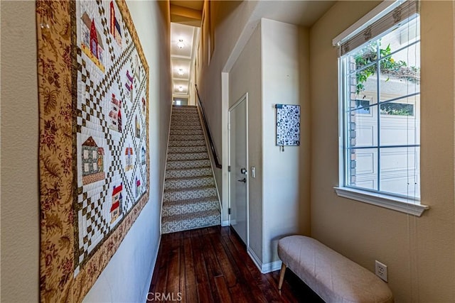 18956 Northern Dancer Ln, Yorba Linda, CA 92886 - stairway featuring hardwood / wood-style flooring