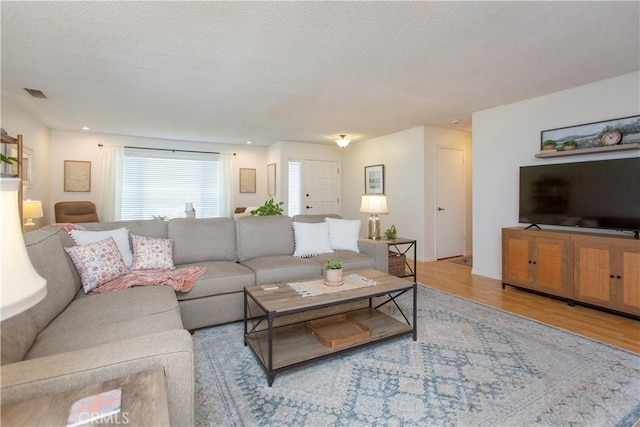 3360 Vanderbilt Ave, Turlock, CA 95382 - living room featuring wood finished floors and a textured ceiling