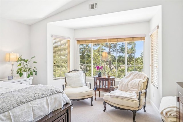 22681 Maplewood, Mission Viejo, CA 92692 - bedroom with light colored carpet and lofted ceiling