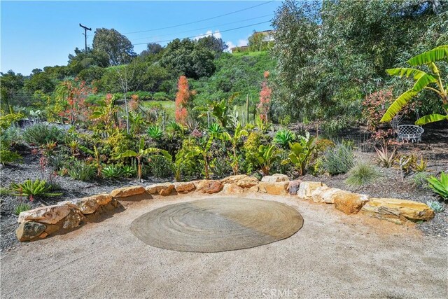 24537 Dry Canyon Cold Creek Rd, Calabasas, CA 91302 - view of yard