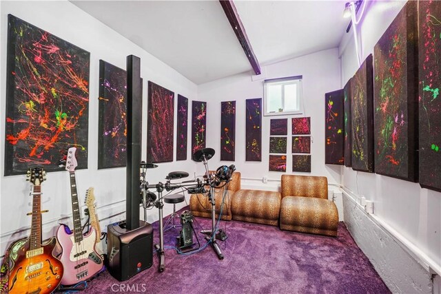 24537 Dry Canyon Cold Creek Rd, Calabasas, CA 91302 - view of sunroom / solarium