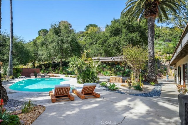 24537 Dry Canyon Cold Creek Rd, Calabasas, CA 91302 - outdoor pool featuring a patio and view of scattered trees