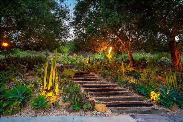 24537 Dry Canyon Cold Creek Rd, Calabasas, CA 91302 - view of yard