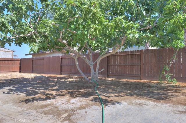 2062 Dunbar Way, Dinuba, CA 93618 - view of yard with a gate