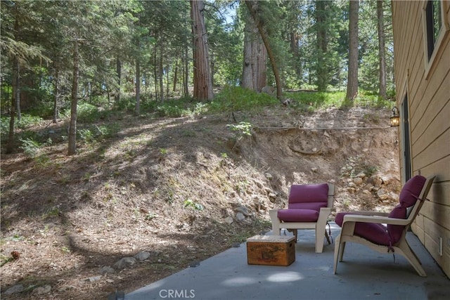 26873 Huron Rd, Lake Arrowhead, CA 92317 - view of patio / terrace