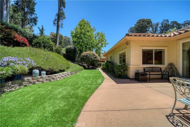665 Silver Charm Dr, Arroyo Grande, CA 93420 - view of green lawn with a patio area