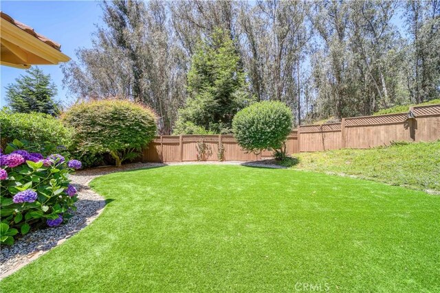 665 Silver Charm Dr, Arroyo Grande, CA 93420 - view of yard