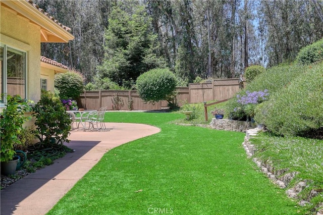 665 Silver Charm Dr, Arroyo Grande, CA 93420 - fenced backyard with a patio area