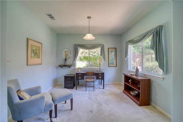 665 Silver Charm Dr, Arroyo Grande, CA 93420 - office space featuring carpet floors and baseboards