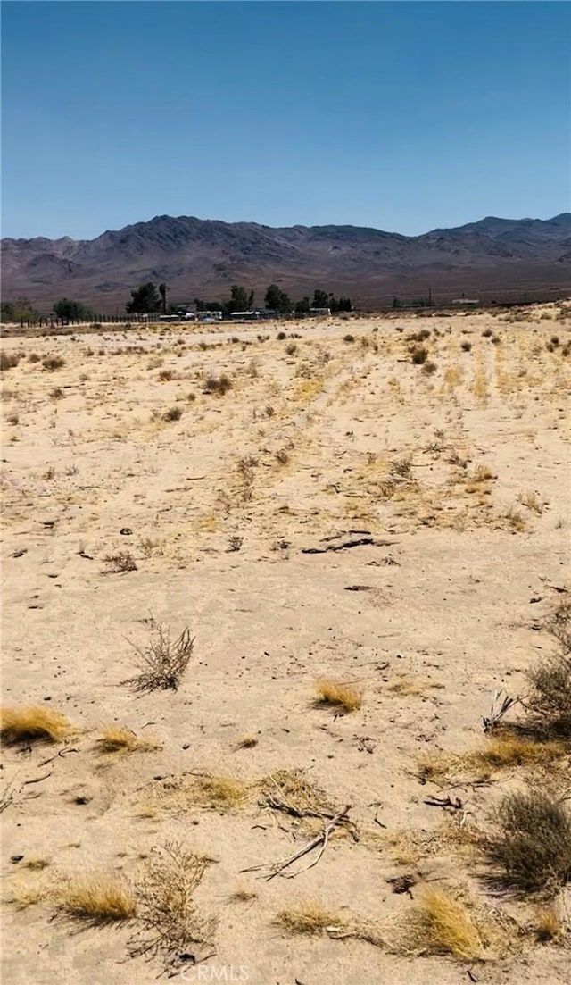 0 Chloride Rd, Newberry Springs, CA 92365
