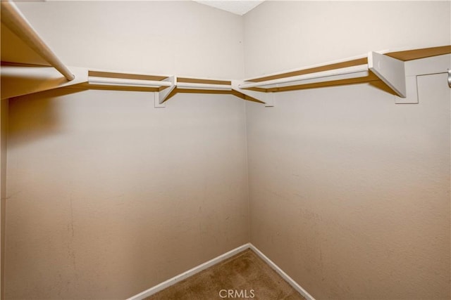 2917 Fairfield Ave, Palmdale, CA 93550 - walk in closet with carpet flooring