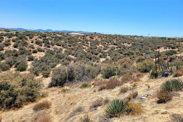 5 Oak Hills Rd, Oak Hills, CA 92344 - photo 22