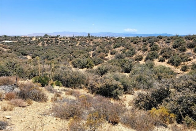 5 Oak Hills Rd, Oak Hills, CA 92344 - photo 24