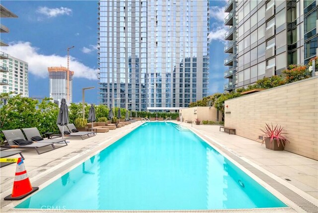 1155 S Grand Ave Unit 1008, Los Angeles, CA 90015 - community pool featuring a city view and a patio