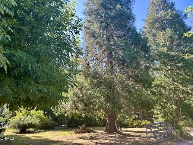 2660 Independence Rd, Glencoe, CA 95232 - photo 38