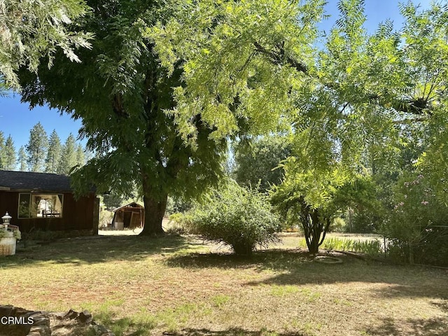 2660 Independence Rd, Glencoe, CA 95232 - photo 49