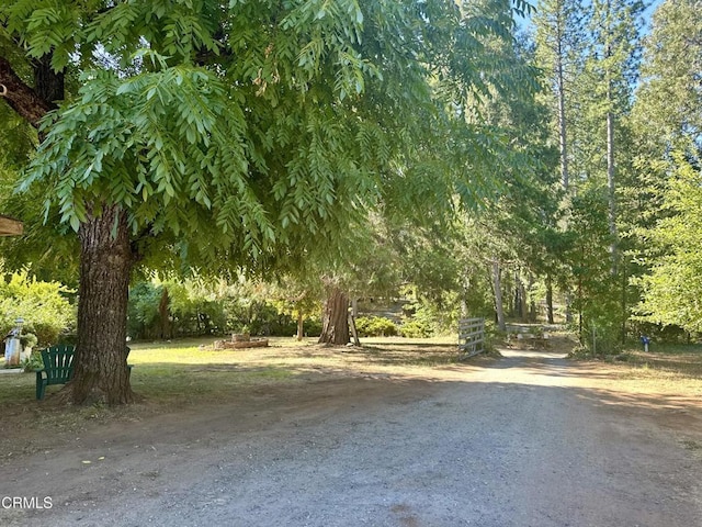 2660 Independence Rd, Glencoe, CA 95232 - photo 47