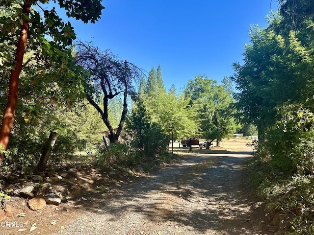 2660 Independence Rd, Glencoe, CA 95232 - photo 40