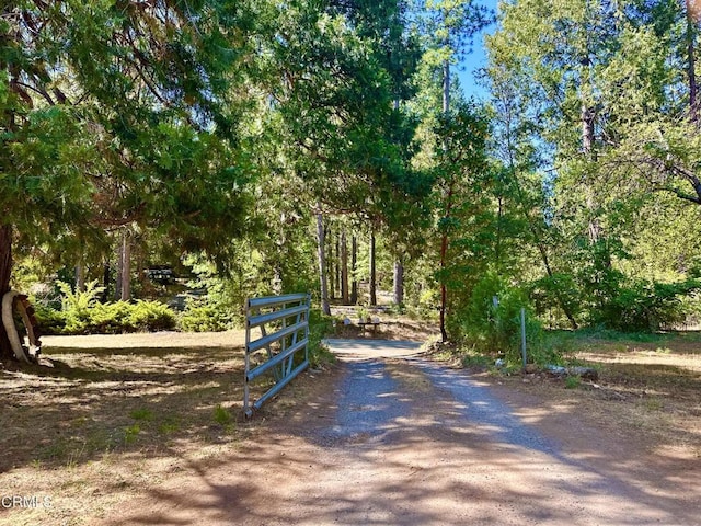 2660 Independence Rd, Glencoe, CA 95232 - photo 50