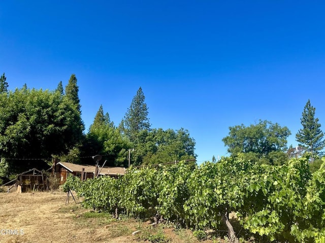 2660 Independence Rd, Glencoe, CA 95232 - photo 25