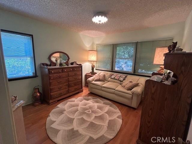1220 W L St, Wilmington, CA 90744 - living area featuring a textured ceiling and wood finished floors