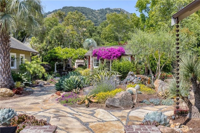 375 Chorro St, San Luis Obispo, CA 93405 - photo 50