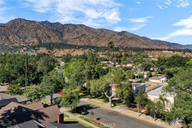 998 Bella Vista Ave, Pasadena, CA 91107 - photo 41