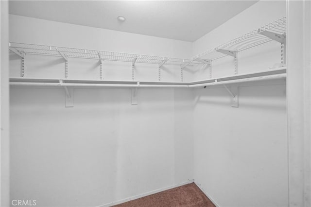15372 Brandon Ln, Fontana, CA 92337 - spacious closet with dark colored carpet